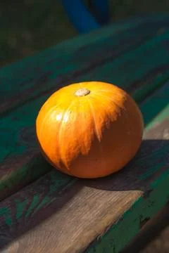Pumpkin on the bench Stock-Fotos