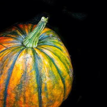Pumpkin on a black background close up Stock Photos