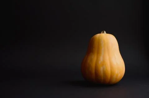 Pumpkin on the black background. Stock Photos