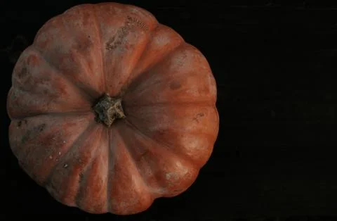 Pumpkin on a black background. Stock Photos