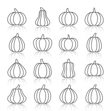 Pumpkin black line with reflection shadow icon set Stock Illustration
