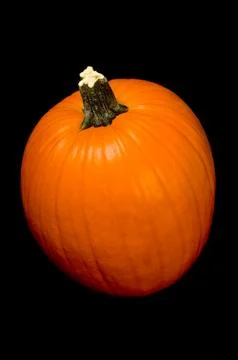 Pumpkin on black Stock Photos