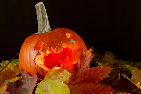 Pumpkin on a black Stock Photos