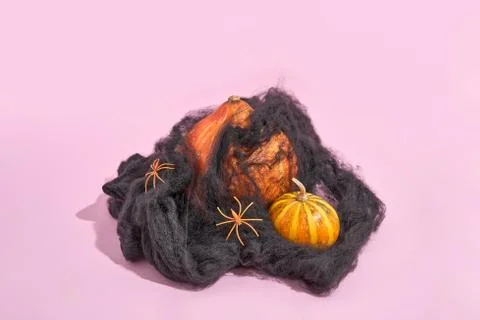 Pumpkin in black spiderweb and spiders on pink pastel background with sunlight Stock Photos