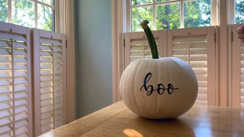 Pumpkin boo background Stock Footage 117125520