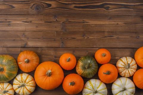 Pumpkin border over rustic wood Fotos Stock