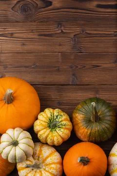 Pumpkin border over rustic wood Fotos Stock