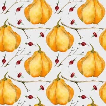 Pumpkin, branches, berries on a light gray background. Watercolor drawing Stock Illustration