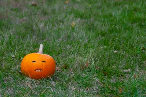 A pumpkin with buckteeth. Stock Photos