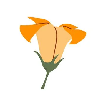 Pumpkin bud flower flat vector illustration small blossom botanical element Stock Illustration