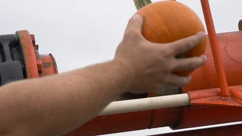 Pumpkin cannon - full sequence 4K Stock Footage 96086560