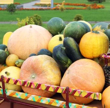 Pumpkin carriage Stock Photos
