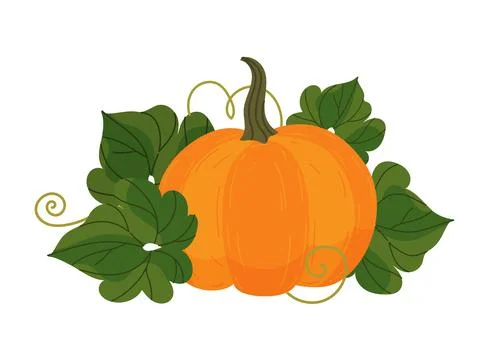 Pumpkin in cartoon style. Pumpkin vector illustration with leaves Stock Illustration