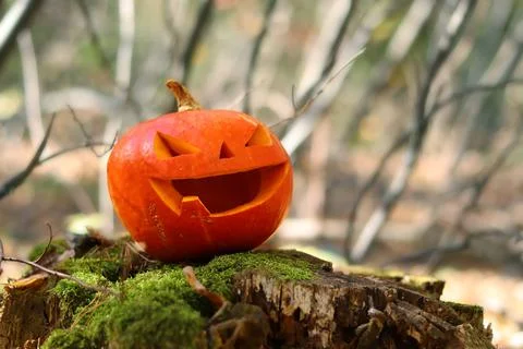 A pumpkin with a carved smiling face stands on a moss-covered stump Stock Photos
