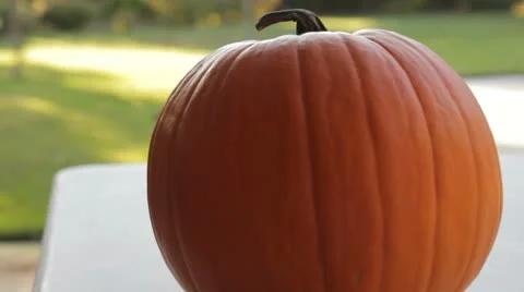 Pumpkin Carving - Lid Cutting Video stock 8962966