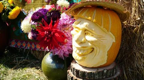 Pumpkin carving in the shape of a human head. Halloween pumpkin. Stock Photos
