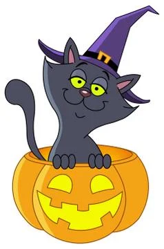 Pumpkin cat Stock Illustration