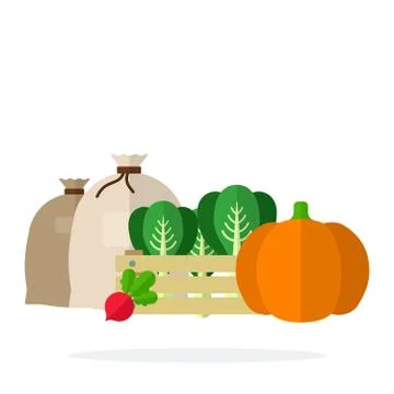 Pumpkin, Chinese cabbage in a box, beets and textile bags with contents flat 스톡 일러스트