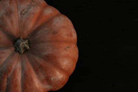 Pumpkin close-up. Stock Photos