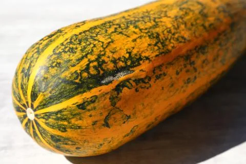 Pumpkin closeup Stock Photos