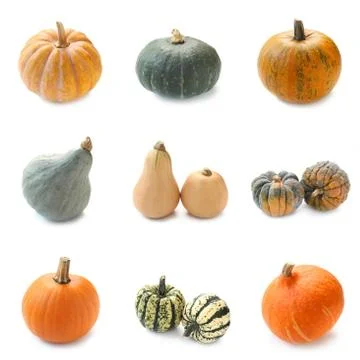 Pumpkin Collection Stock Photos