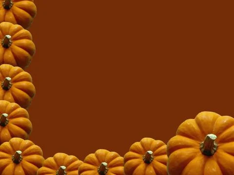 Pumpkin Colored Frame. Stock Photos