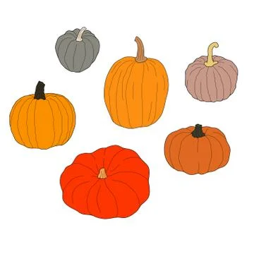 Pumpkin colorful set vector illustration isolated on white background. Health 库存插图