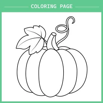 Pumpkin Coloring Page Vector イラスト素材