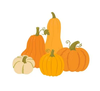 Pumpkin comosition flat vector illustration. Agricultural produce various sha Illustrazione stock