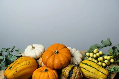 Pumpkin composition and white background Stock Photos