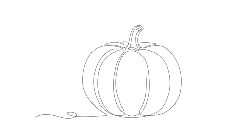 Pumpkin Continuous Single Line Art Minimalist Autumn Vegetable Stock Footage 317947249