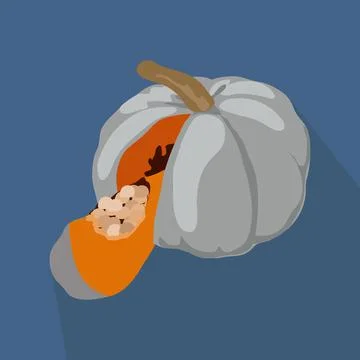 Pumpkin cut Stock Illustration
