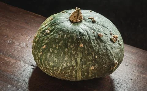 Pumpkin on dark background copy space. Fotos Stock