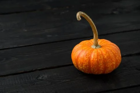 Pumpkin on dark background Stock Photos