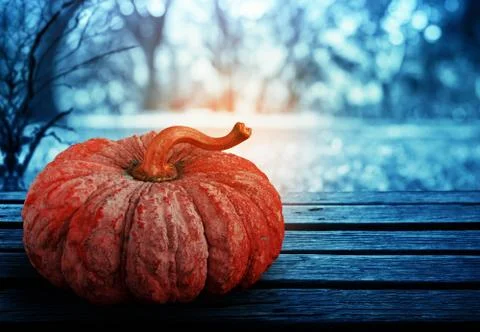 Pumpkin with darkness at night. Stock Photos