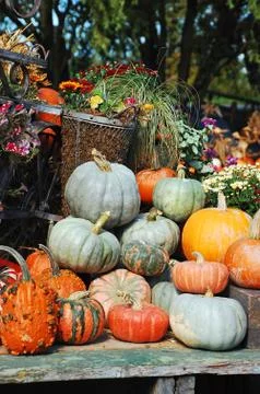Pumpkin decoration Foto stock