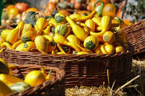 Pumpkin decoration Stock Photos