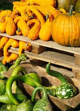 Pumpkin decoration Foto stock