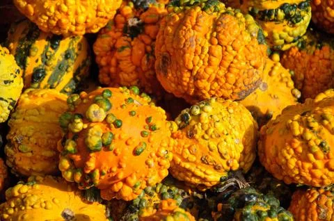 Pumpkin decoration Stock Photos