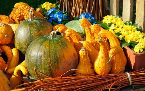 Pumpkin decoration Stock Photos