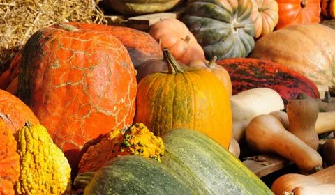 Pumpkin decoration Stock Photos
