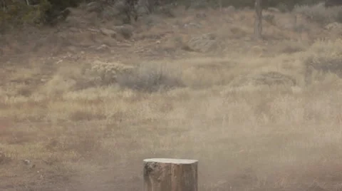 Pumpkin destroyed explosion dynamite reverse HD 0614 Video stock 12724531