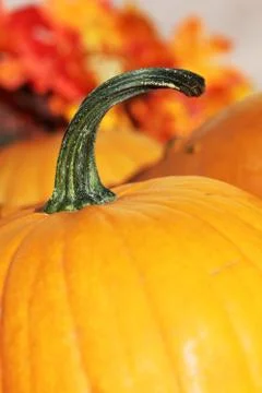 Pumpkin detail Stock Photos
