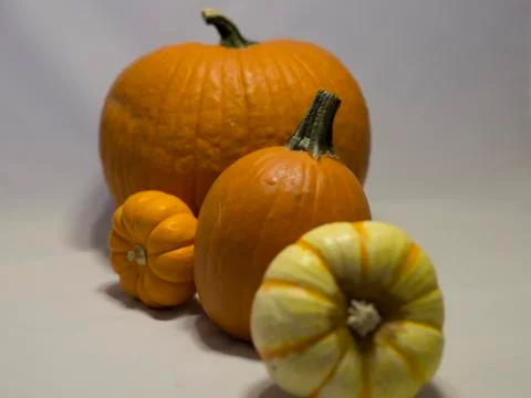 Pumpkin Display Foto stock