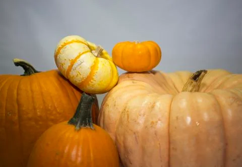 Pumpkin Display Foto stock