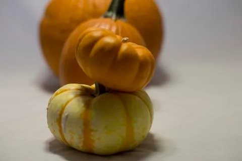 Pumpkin Display Stock Photos