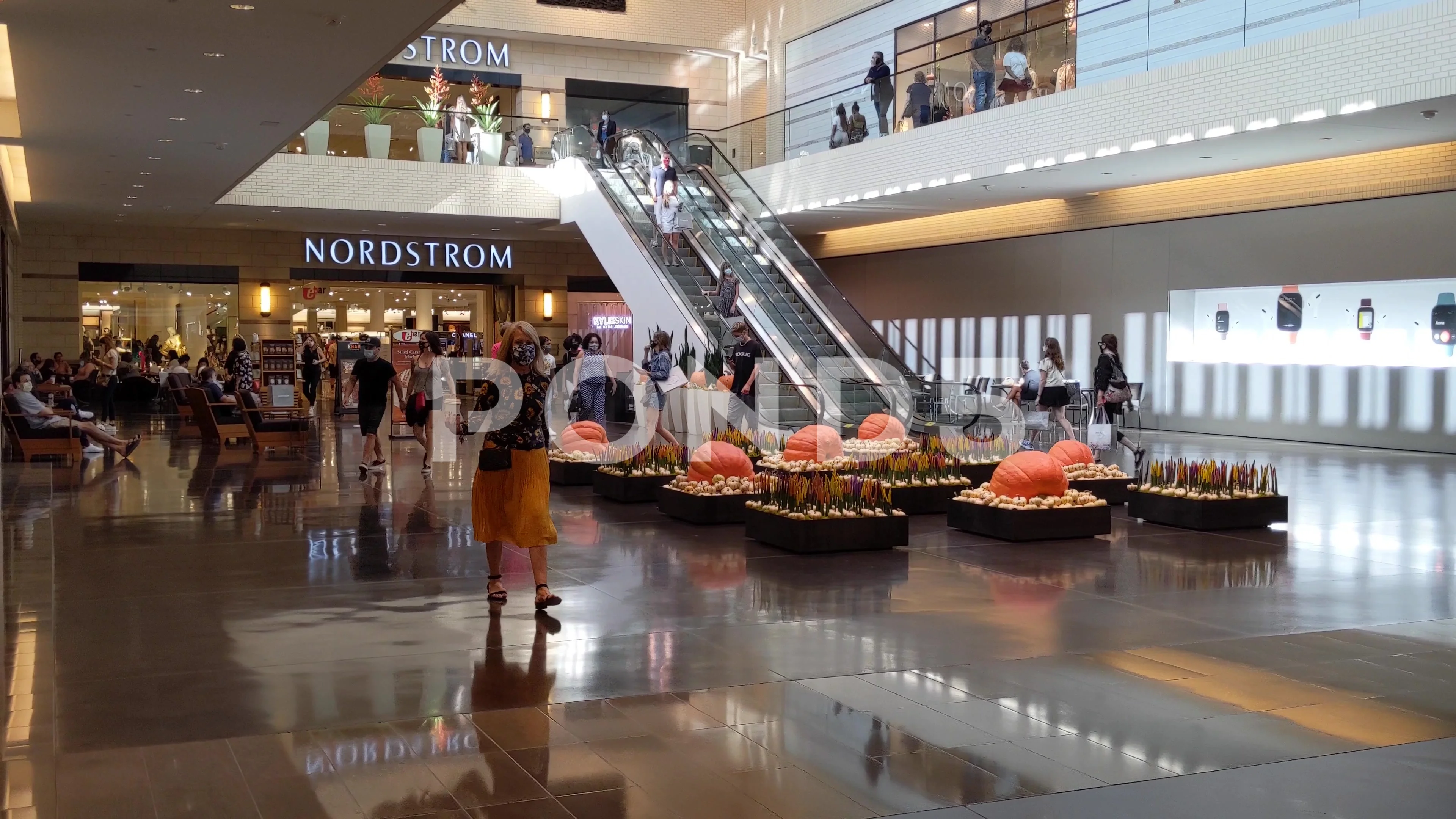 Nordstrom department store and parking lot at Northpark shopping