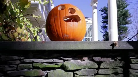 Pumpkin Dolly Shot in the Fall Stock Footage 19623794