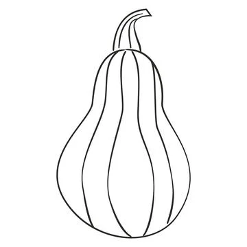 Pumpkin doodle outline vector hand drawn illustration. Stock Illustration
