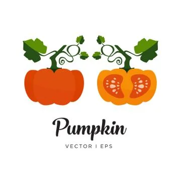 Pumpkin editable vector illustration. Simple flat style. Stock Illustration